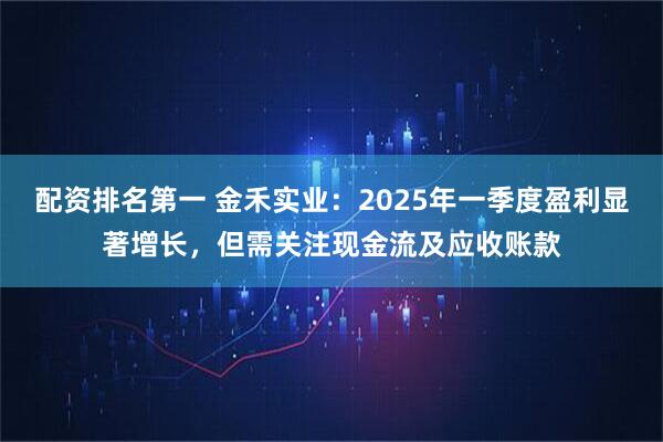 配资排名第一 金禾实业：2025年一季度盈利显著增长，但需关注现金流及应收账款